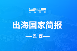 凯发k8官网GO GLOBAL | 巴西国家简报